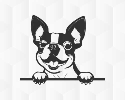 Boston Terrier Free SVG Cut File | PicRix